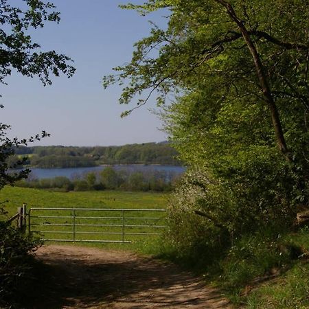 Fewo Am See 15A Klein Wittensee Exterior foto